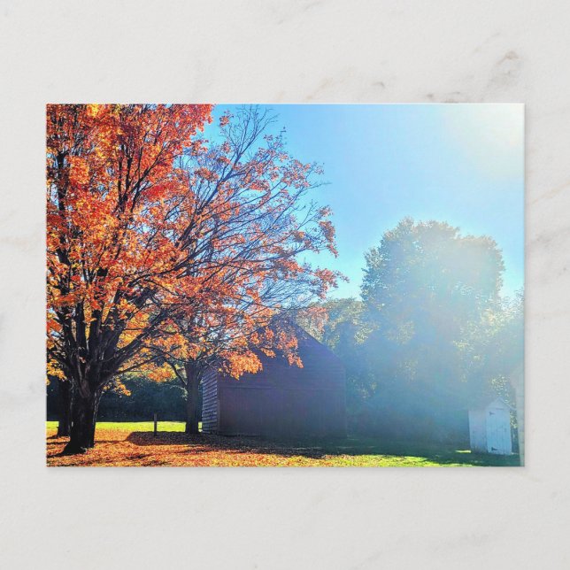 Cartão Postal Long Island Autumn Fall Fazenda Barn New York (Frente)