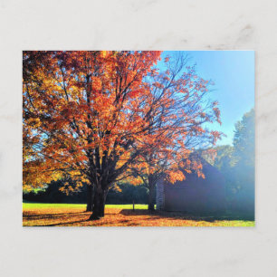 Cartão Postal Long Island Autumn Fall Fazenda Barn New York