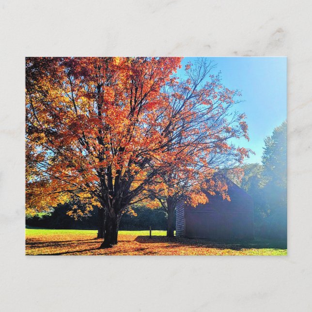 Cartão Postal Long Island Autumn Fall Fazenda Barn New York (Frente)