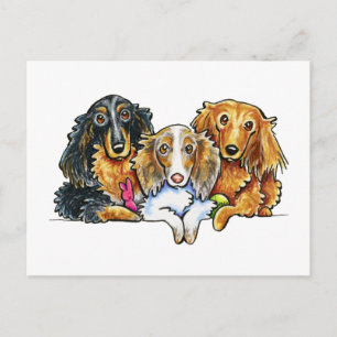 Cartão Postal Longhaired Dachshund Trio