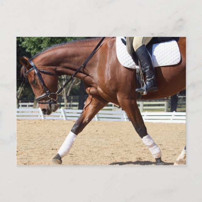 Cartão Postal Longo e Baixo (Frente)