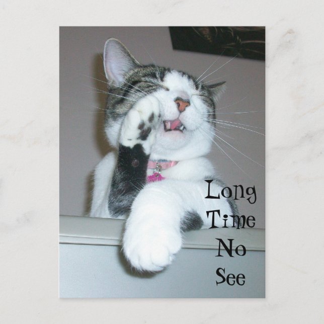 Cartão Postal Longo Tempo Não Ver (Frente)
