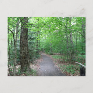 Cartão Postal Lonsie Lake Trail em New Hampshire
