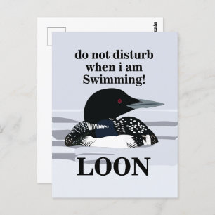 Cartão Postal Loon Common Loon Bird Water Lake Funny
