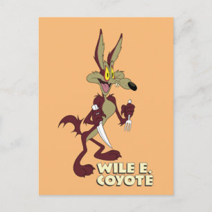 Cartão Postal LOONEY TUNES™ - Raios retroativos WILE E. COYOTE