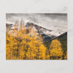 Cartão Postal Loop alpino   Silverton, Colorado