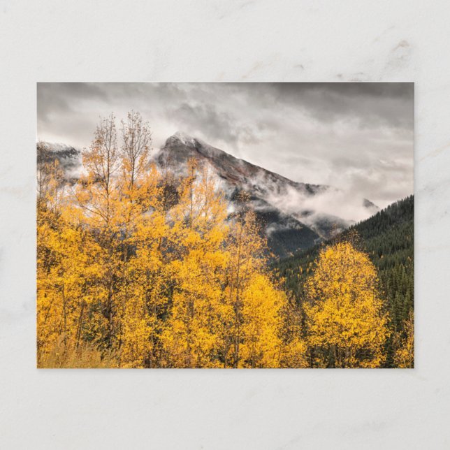 Cartão Postal Loop alpino | Silverton, Colorado (Frente)