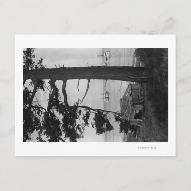 Cartão Postal Lopez Island, WA - Barcos De Pesca Na Baía (Frente)