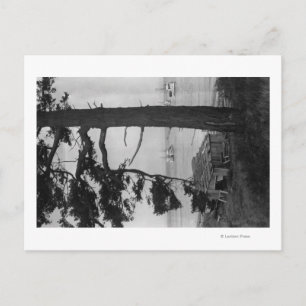 Cartão Postal Lopez Island, WA - Barcos De Pesca Na Baía