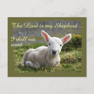 Cartão Postal Lord is my Shepherd Little White Lamb Psalm 23
