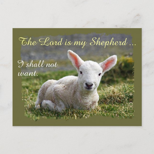 Cartão Postal Lord is my Shepherd Little White Lamb Psalm 23 (Frente)