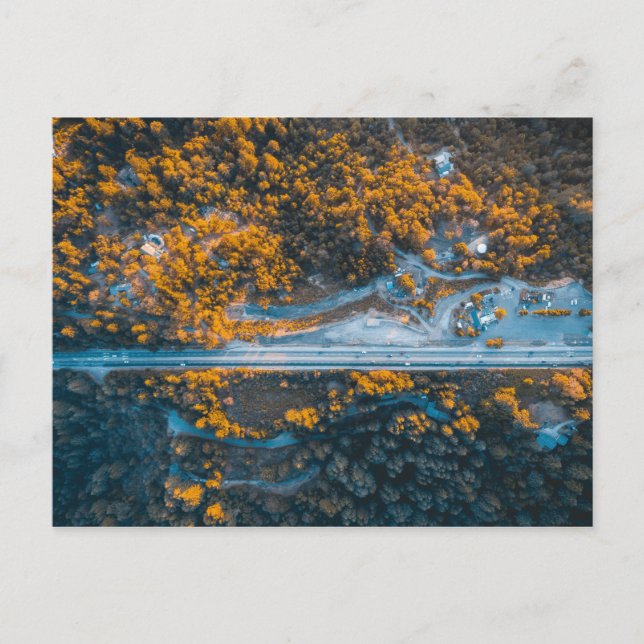 Cartão Postal Los Gatos, Estados Unidos (Frente)