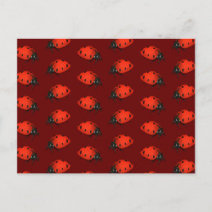 Cartão Postal Lote De Ladybugs