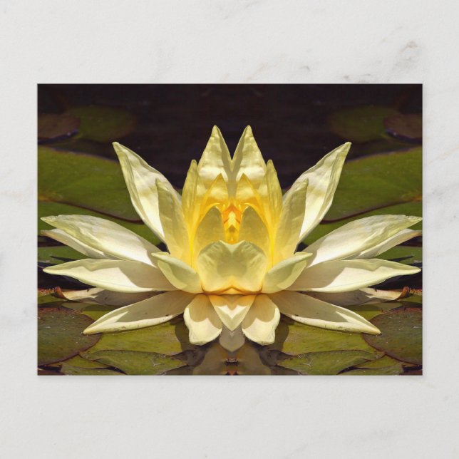 Cartão Postal Lotus1 Avançado (Frente)