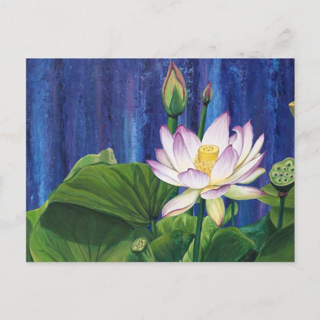 Cartão postal Lotus Dream (Frente)