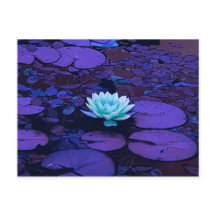 Lotus Flower Purple Blue Turquoise Floral Pond Zen