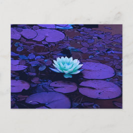 Cartão Postal Lotus Flower Purple Blue Turquoise Floral Pond Zen