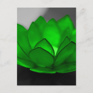 Cartão Postal Lotus verde