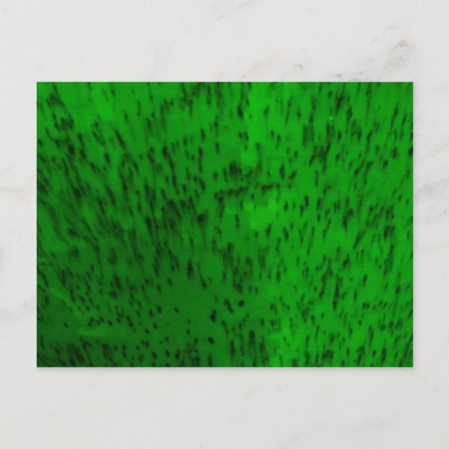 Cartão Postal Louça de Barro Verde Lima (Frente)