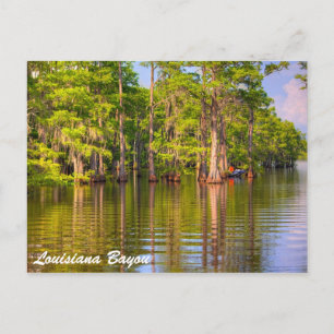 Cartão Postal Louisiana Bayou