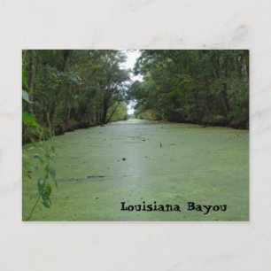 Cartão Postal Louisiana Bayou