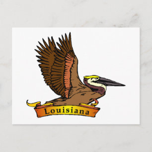 Cartão Postal Louisiana Brown Pelican
