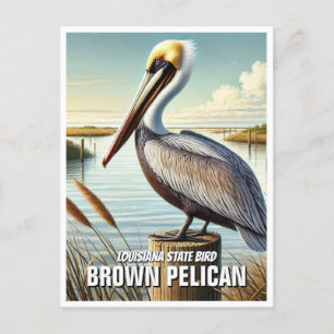 Cartão Postal Louisiana State Bird Brown Pelican
