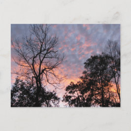 Cartão Postal Louisiana Sunset
