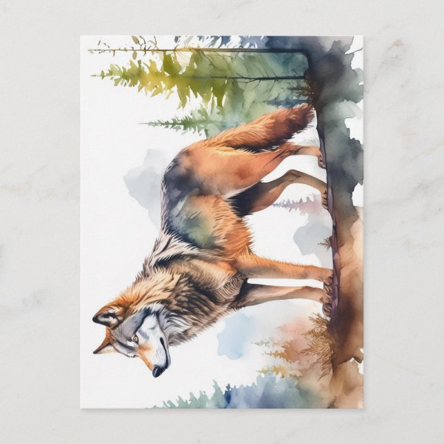 Cartão Postal Loup en forêt à l'aquarelle (Frente)