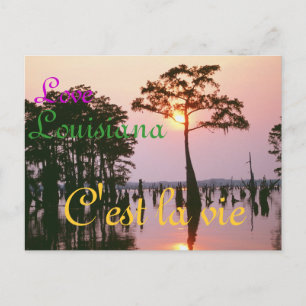 Cartão Postal Lousiana/Atchafalaya Basin