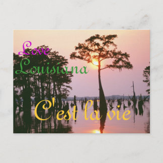 Cartão Postal Lousiana/Atchafalaya Basin