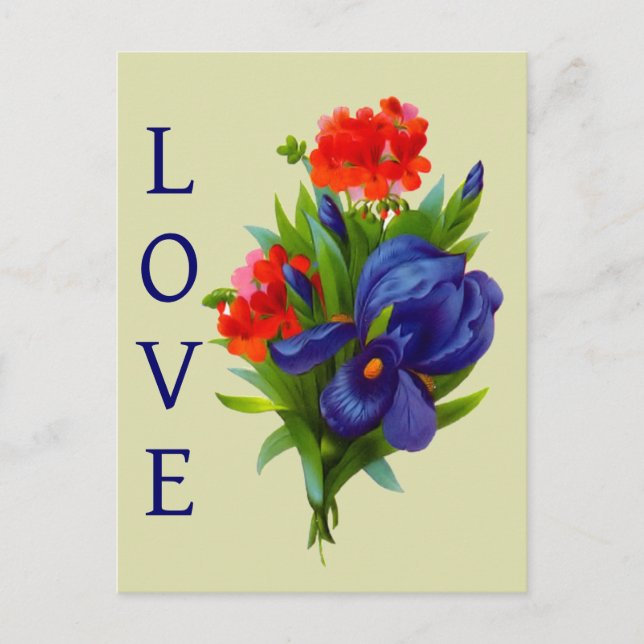 Cartão Postal Love Blue Iris Flower Buquê (Frente)