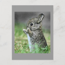 Cartão Postal Love Bunny Hug