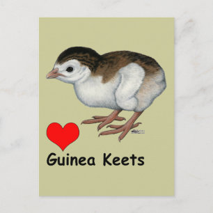 Cartão Postal Love Guiné Keets