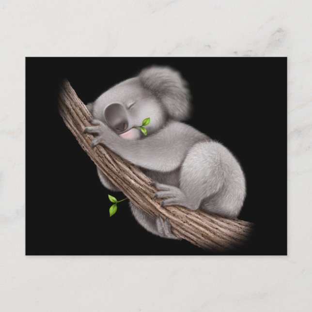 Cartão Postal Love Koala Bears (Frente)
