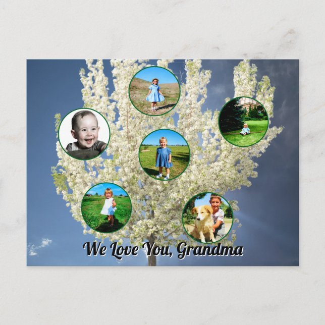 Cartão Postal Love You Grandma White Blossoming Tree Six Photos  (Frente)