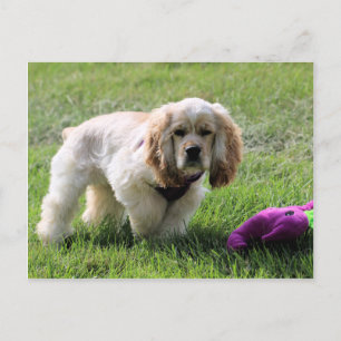 Cartão Postal Lovely Luna