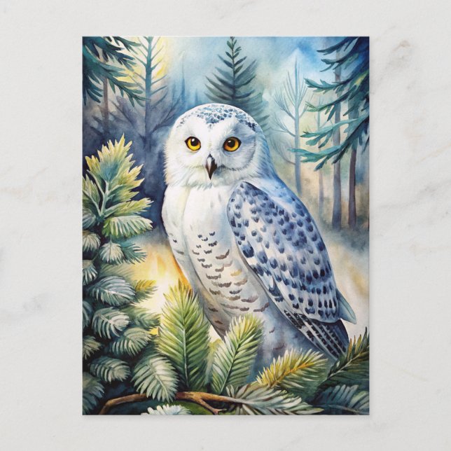 Cartão Postal Lovely Snowy Owl (Frente)
