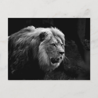 Cartão Postal löwe
