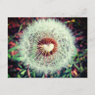Cartão Postal Löwenzahn