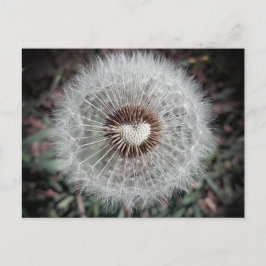 Cartão Postal Löwenzahn