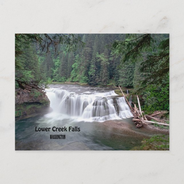 Cartão postal Lower Lewis Falls Washington (Frente)