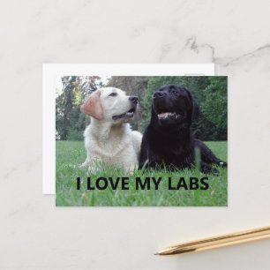 Cartão Postal LR I Love My Labs with picture
