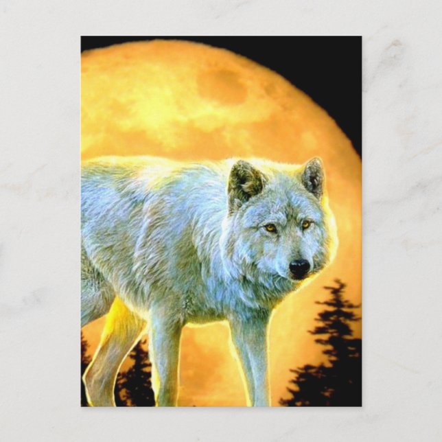 Cartão Postal lua cheia da floresta florestal lobo (Frente)