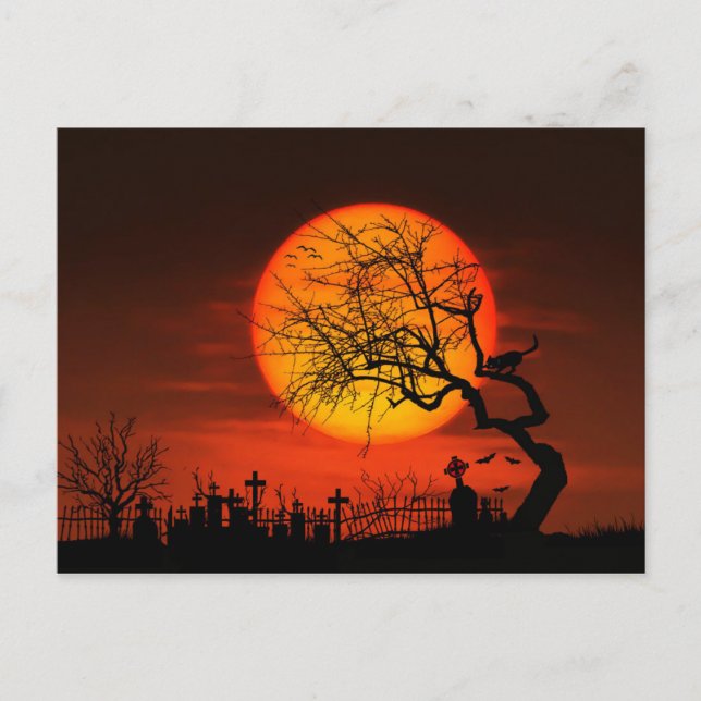 Cartão Postal Lua cheia e gato sobre cemitério (Frente)