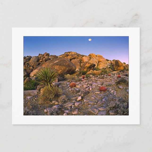 Cartão Postal " Lua Cheia Pôr-se Sobre Anel de Fogo" (Frente)