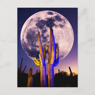 Cartão Postal Lua Cheia Sobre o Cacto Saguaro