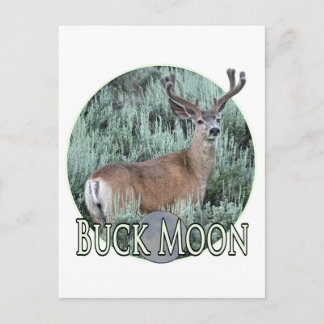 Cartão Postal Lua de Buck