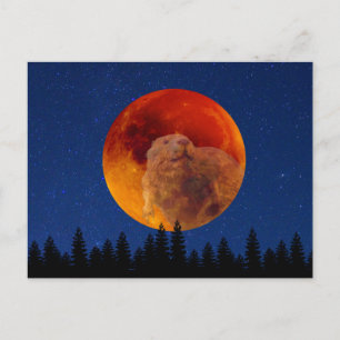 Cartão Postal Lua de Castor em Novembro