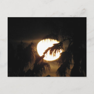 Cartão Postal lua de noite
